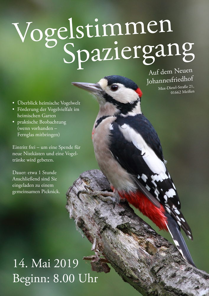 vogelstimmenspaziergang_a